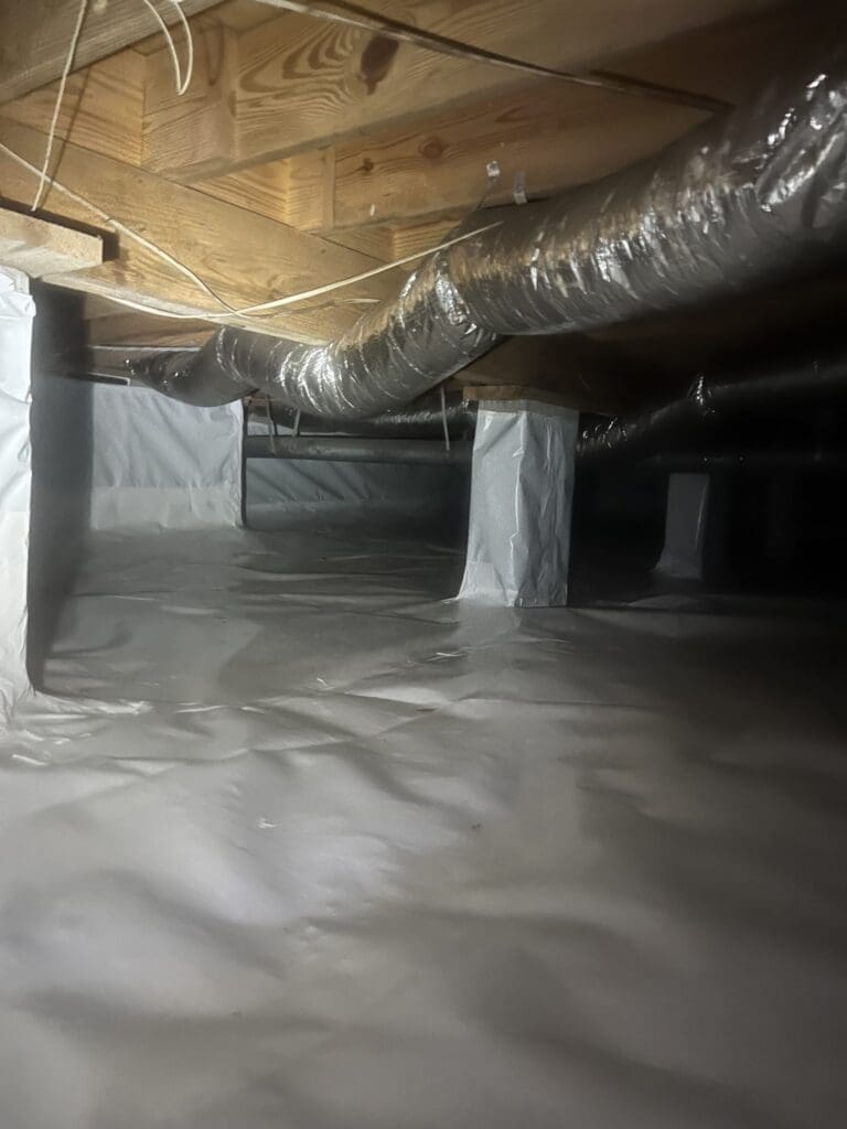 d rothwell crawl space mold after 3