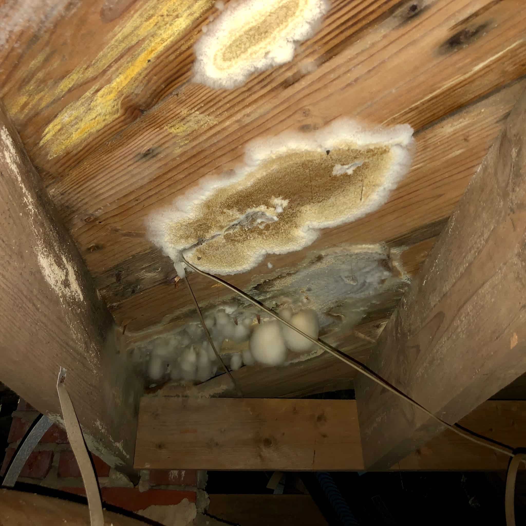Crawl Space Repair | Dry Otter Waterproofing