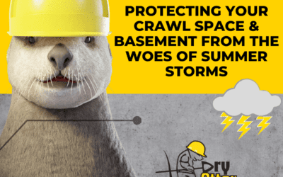 protecting-your-basement-from-summer-storms
