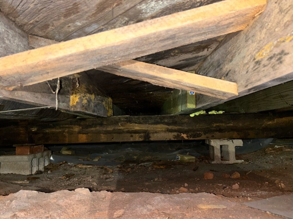 rotted floor joists in a NC home