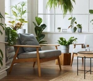 Benefits of Dehumidifier