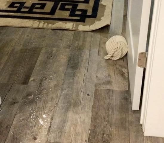example of a wet basement in a Charlotte house