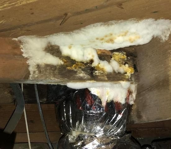 moldy crawl space joists rot
