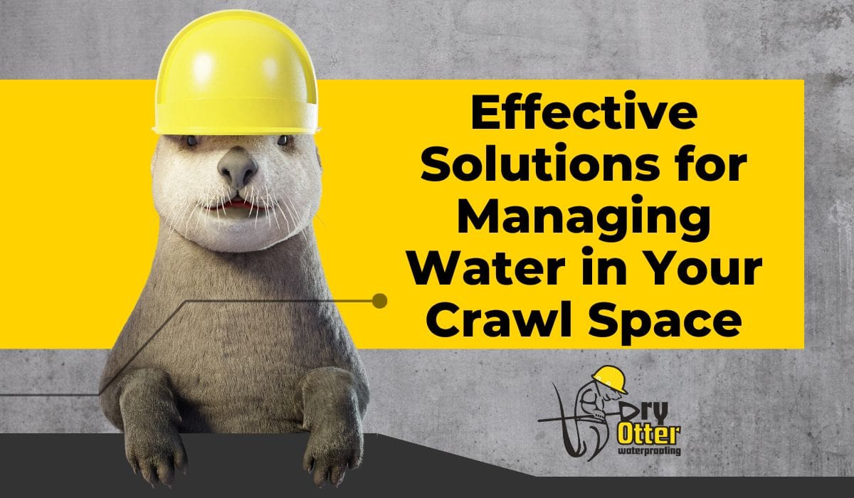 Effective Solutions for Managing Water in Your Crawl Space - Dry Otter ...