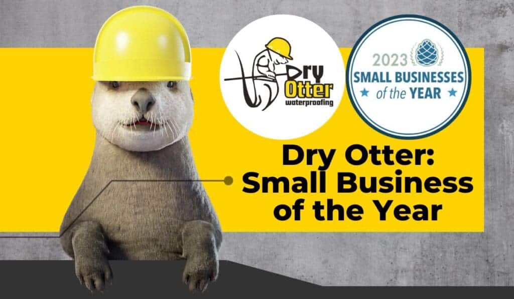 Blog header Dry Otter wins Small Business of the Year