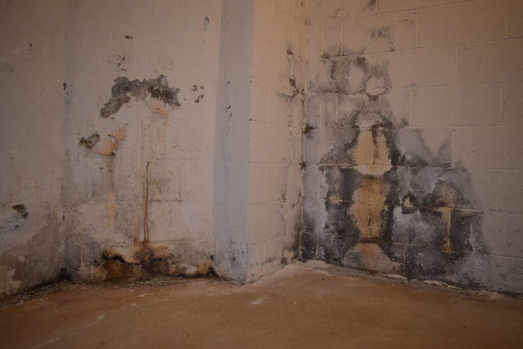 discoloration and peeling paint on basement walls