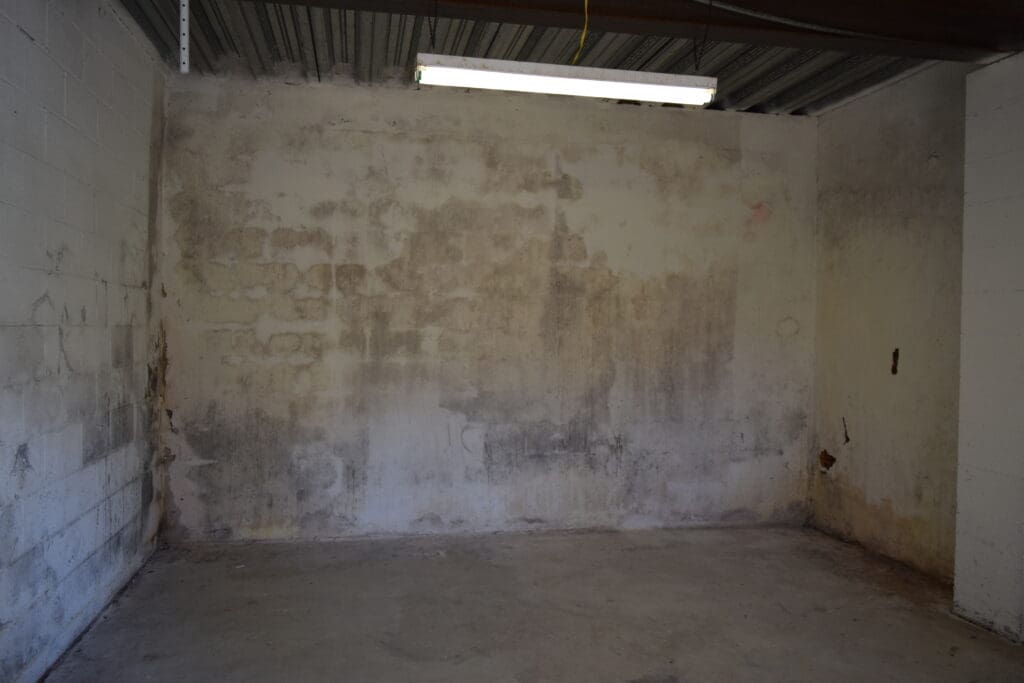 gray and white powder and staining on basement walls