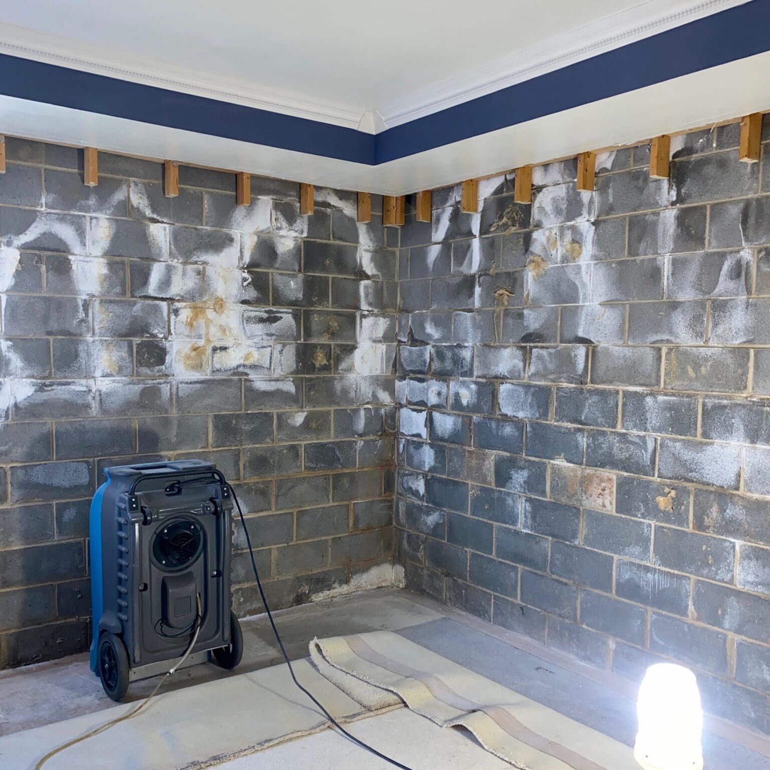 Understanding and Preventing Efflorescence