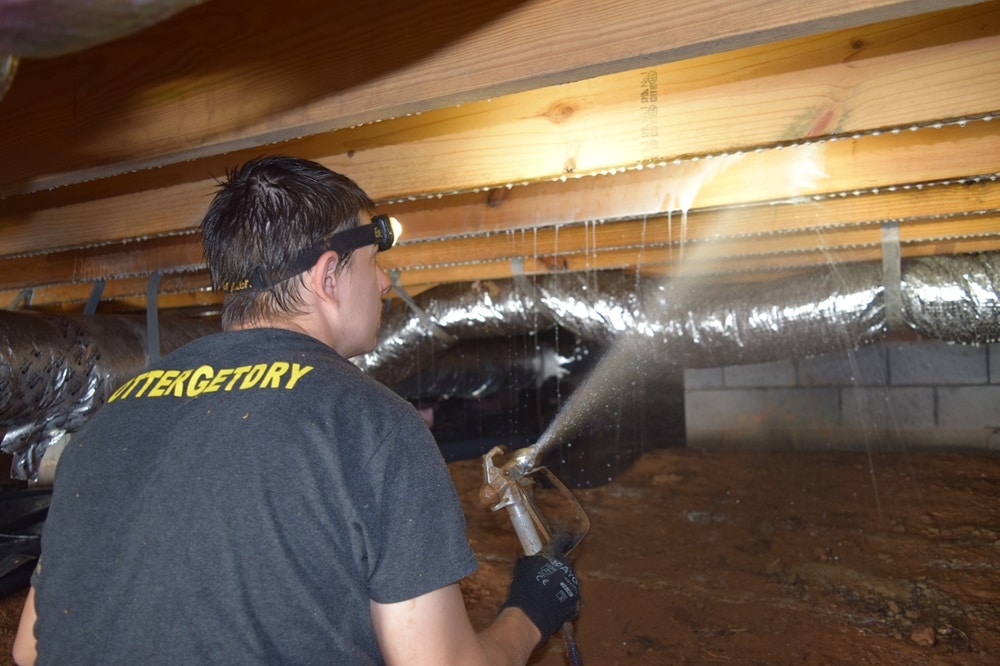 mold remediation from crawl space
