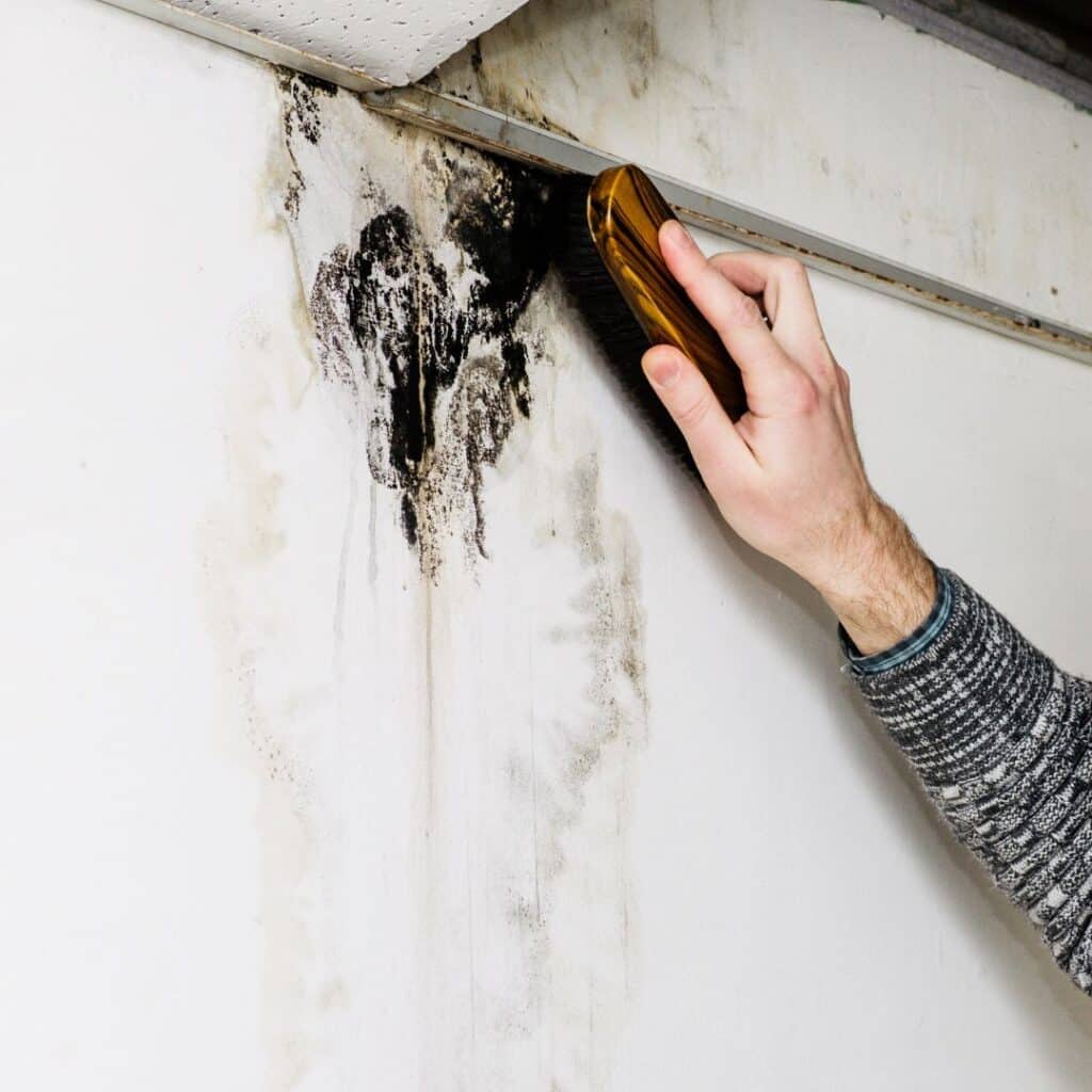 cleaning mold near ceiling with scrub brush