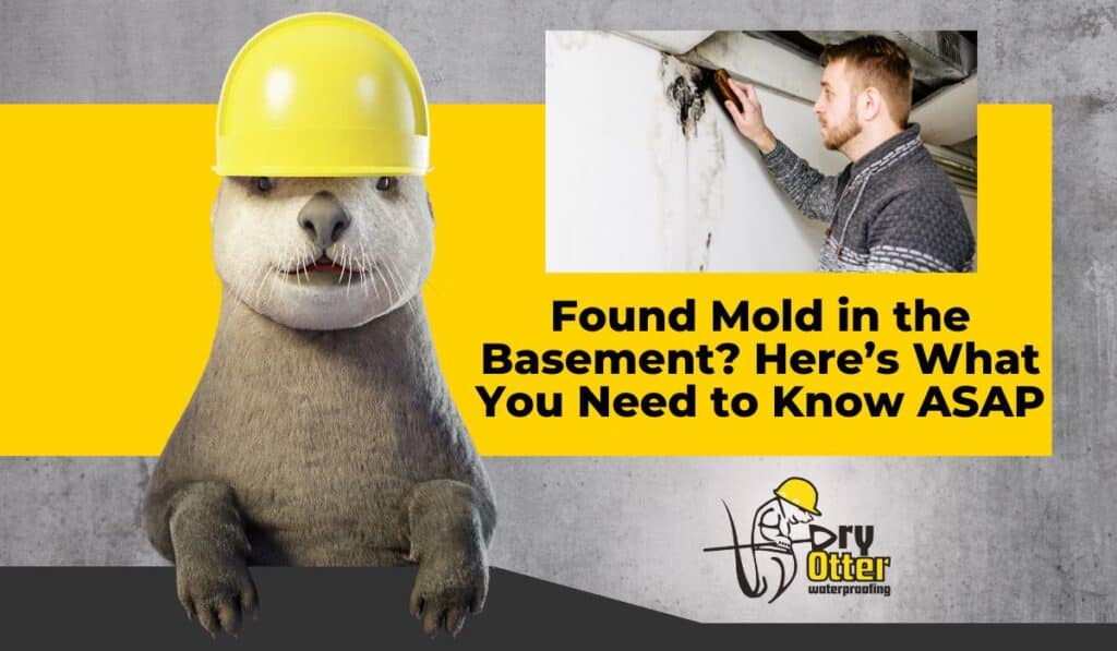 man cleaning mold in basement