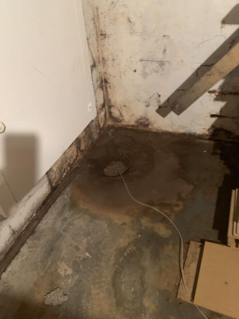 yucky sump pump hole in basement full of debris and mold on basement walls making basement musty