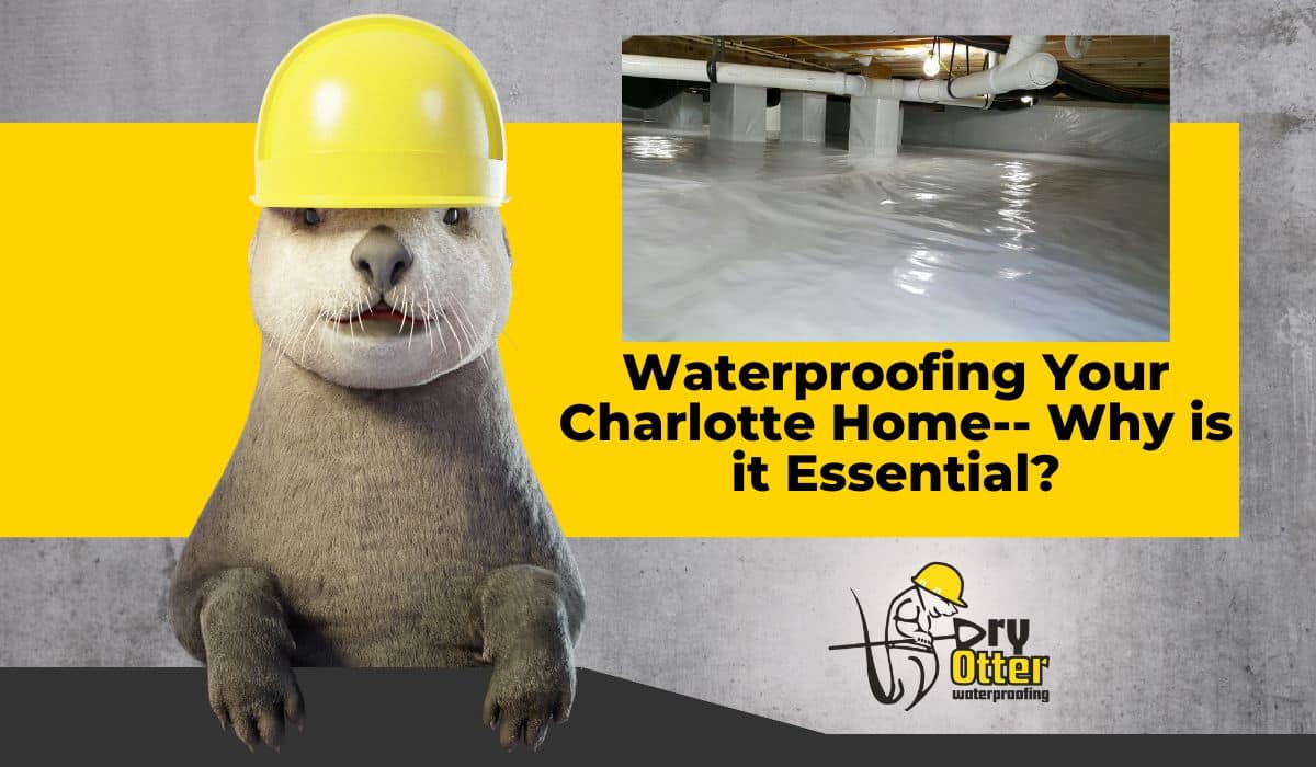 Waterproofing your Charlotte Home: Why It’s Essential - Dry Otter ...