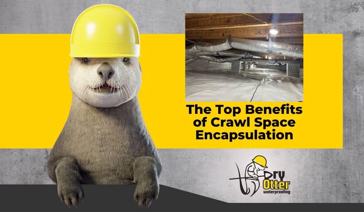 The Top Benefits of Crawl Space Encapsulation - Dry Otter Waterproofing