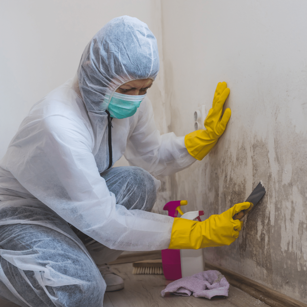 woman in safety suit scrubs wall to get rid of mold, wearing mask and gloves and has towels and spray bottles