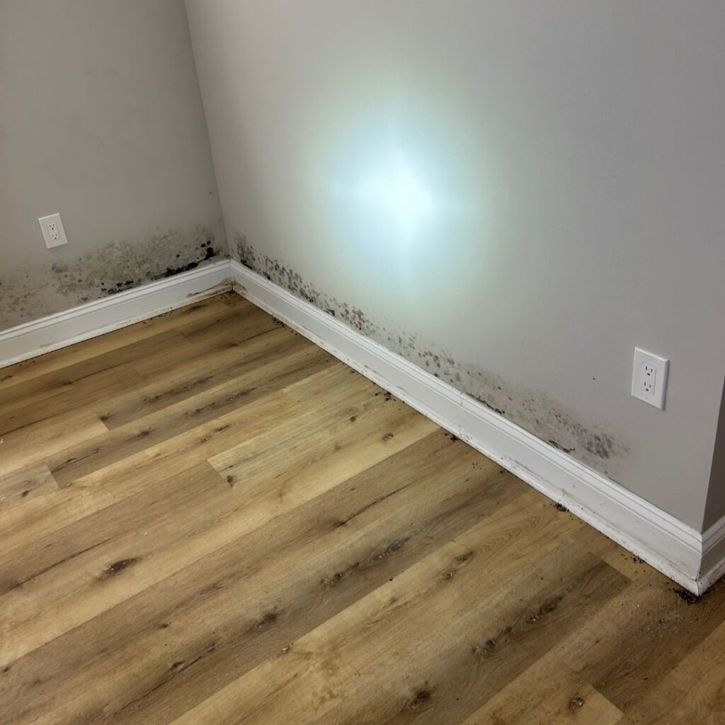 old above basement baseboards