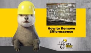 How to remove efflorescence in a crawl space