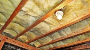crawl space insulation