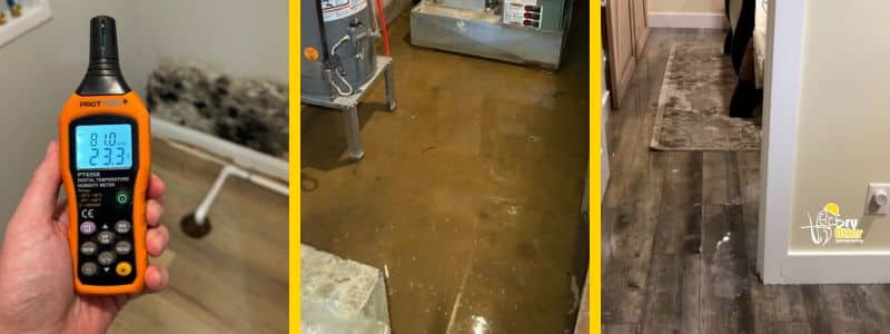 wet basement with high humidity, mold, water in floor
