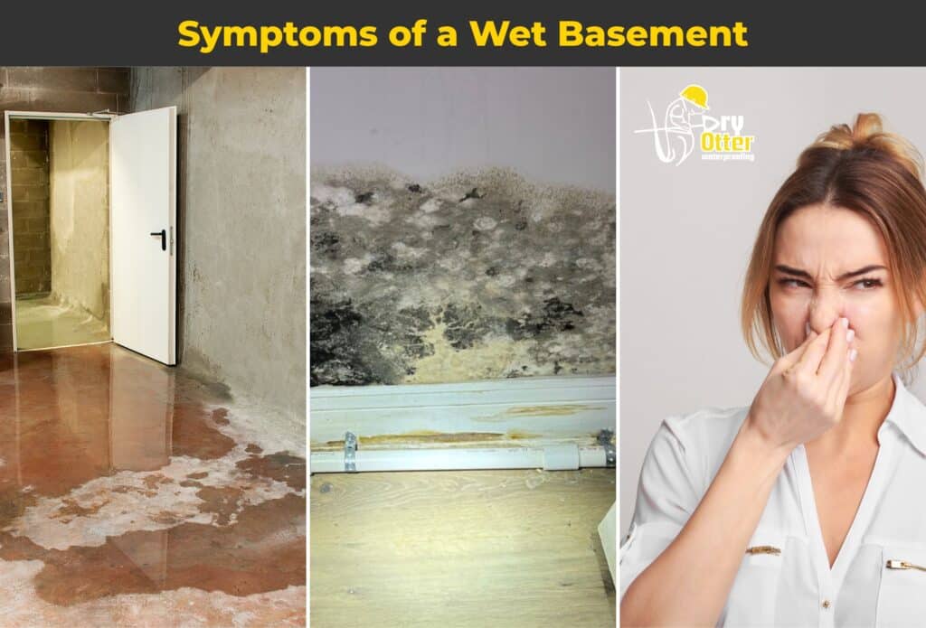 depicts the symptoms of a wet basement: water in floor, mold on walls, musty smell