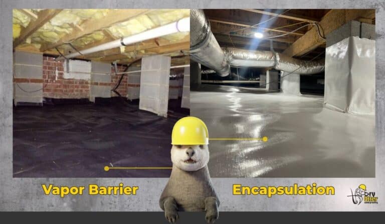 Crawl Space Glossary - Dry Otter Waterproofing