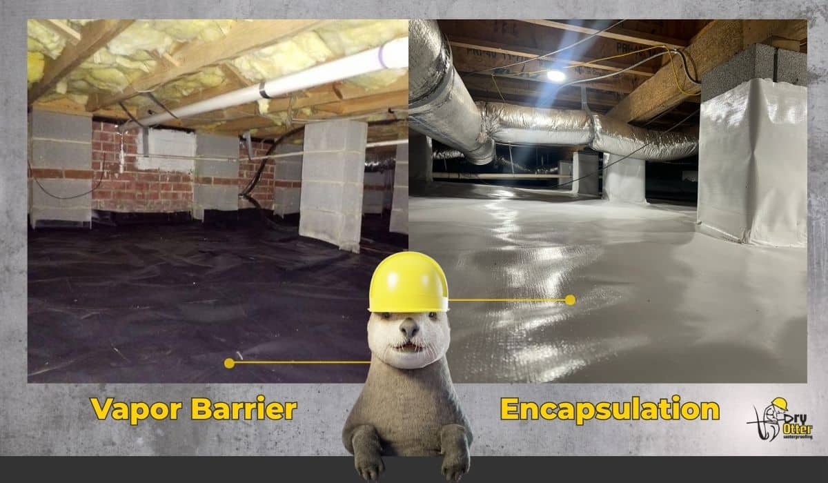 Crawl Space Glossary - Dry Otter Waterproofing