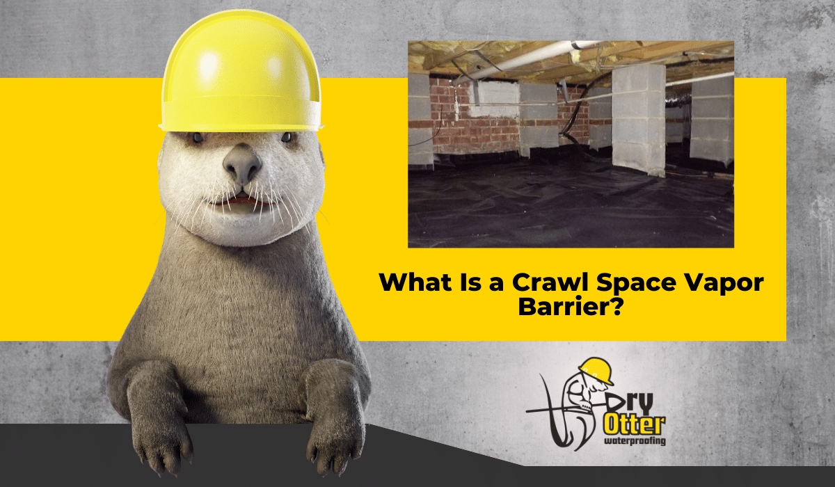 What Is a Crawl Space Vapor Barrier? - Dry Otter Waterproofing