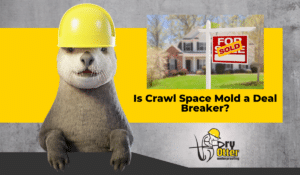 Exterior of a home for sale tying into Dry Otter’s crawl space inspection and moisture control services.
