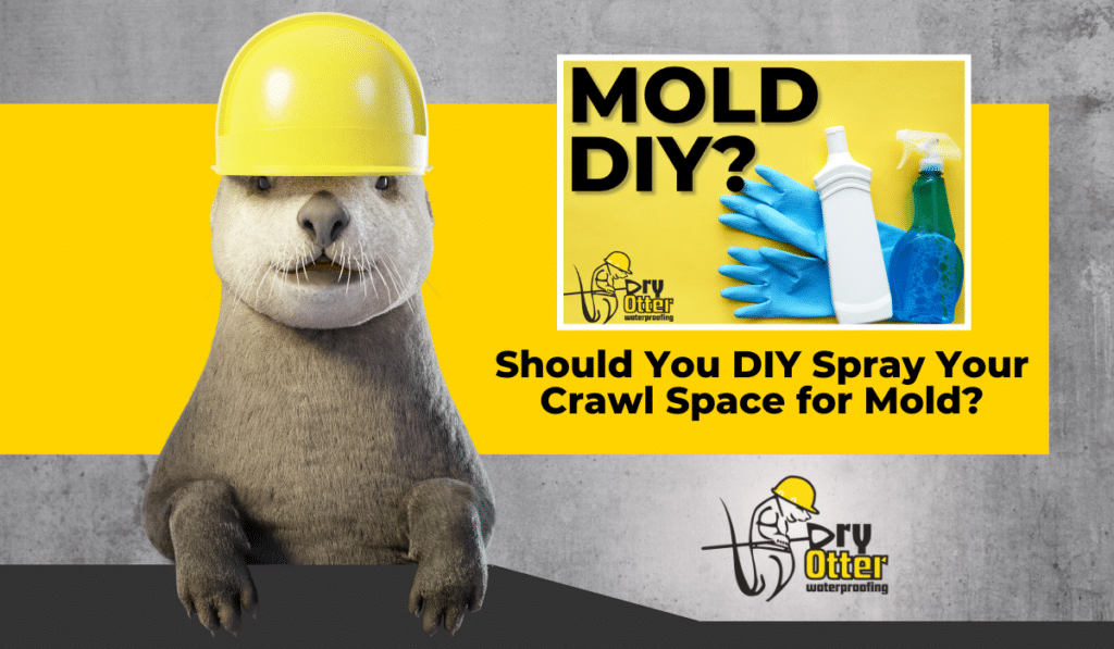 Bleach might remove surface mold, but DIY crawl space cleaning rarely solves the problem. Discover why professional encapsulation is safer and more effective.