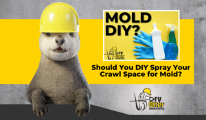 Bleach might remove surface mold, but DIY crawl space cleaning rarely solves the problem. Discover why professional encapsulation is safer and more effective.