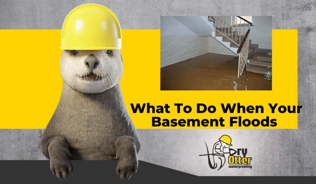 What to do when your basement floods