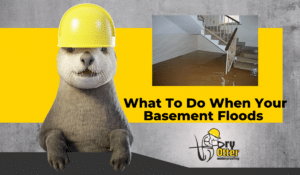 What to do when your basement floods